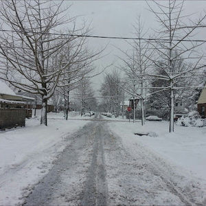 Meet your Posher, Beena